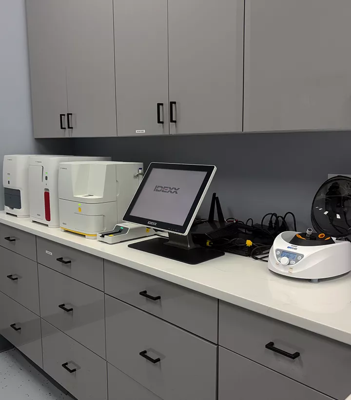 in house diagnostic equipment at Ashton Animal Clinic