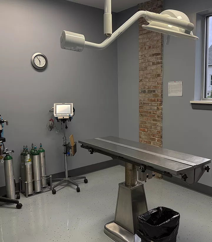 surgery room at Ashton Animal Clinic