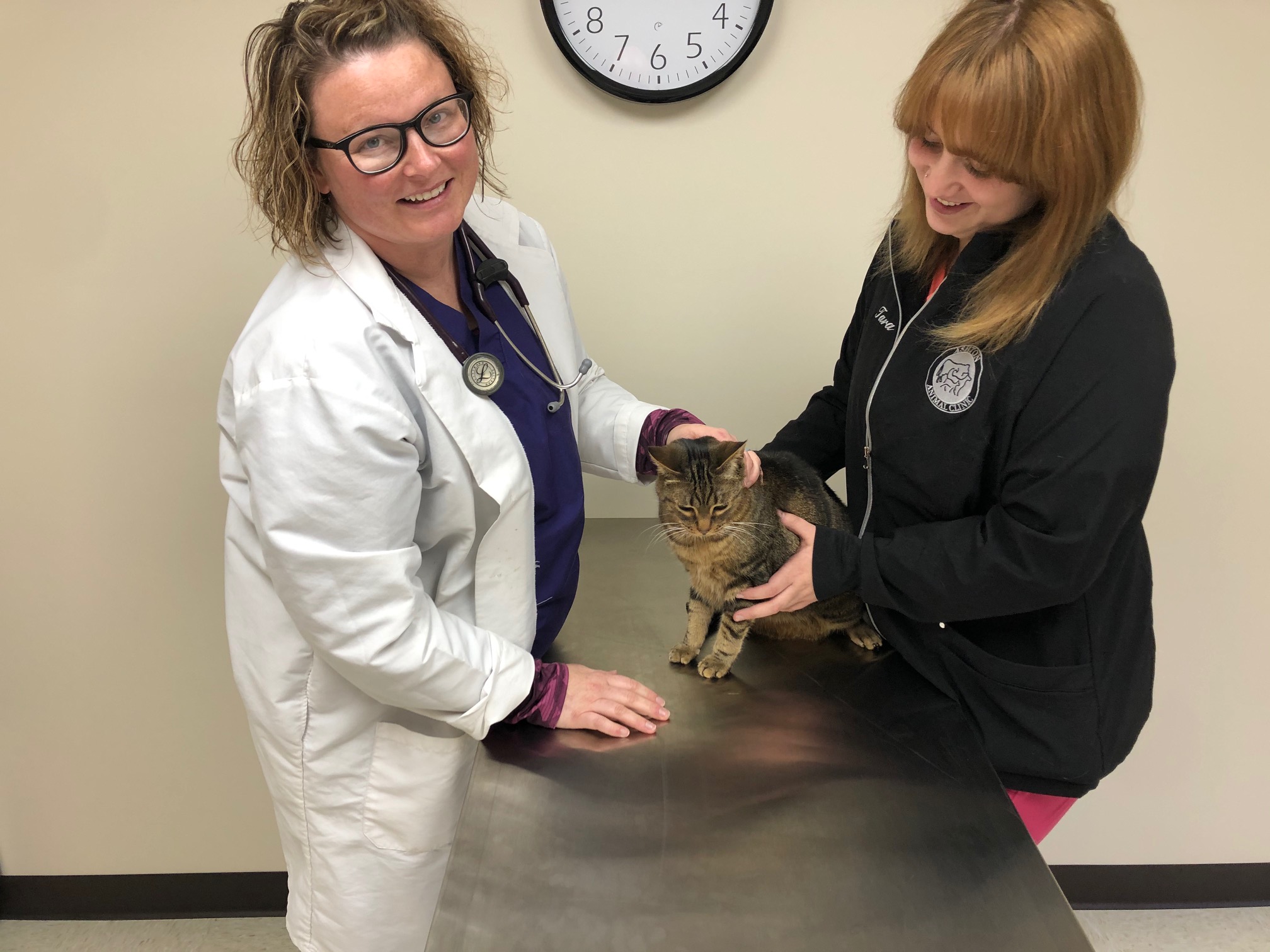 Services | Veterinarian in Ashton, IL | Ashton Animal Clinic
